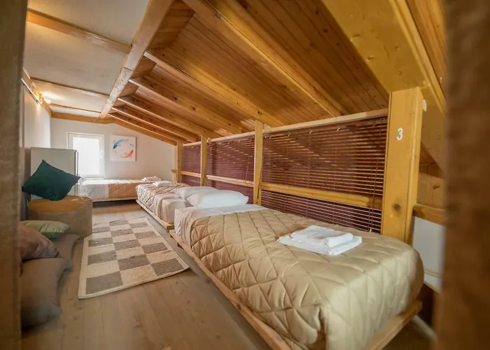 Hostel Mosaic Tirana